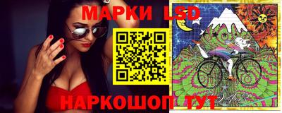 гидропоника Малгобек