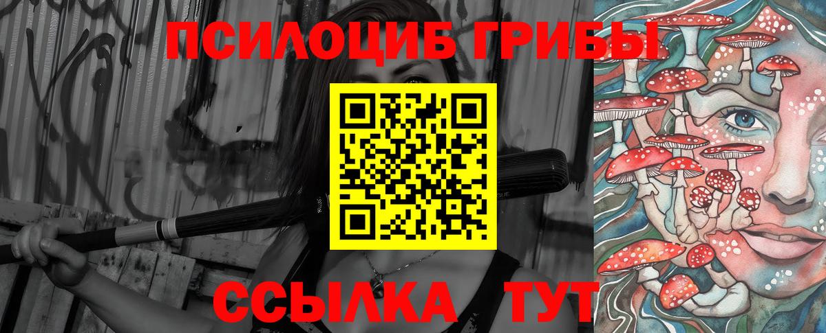 Псилоцибиновые грибы прущие грибы Чехов