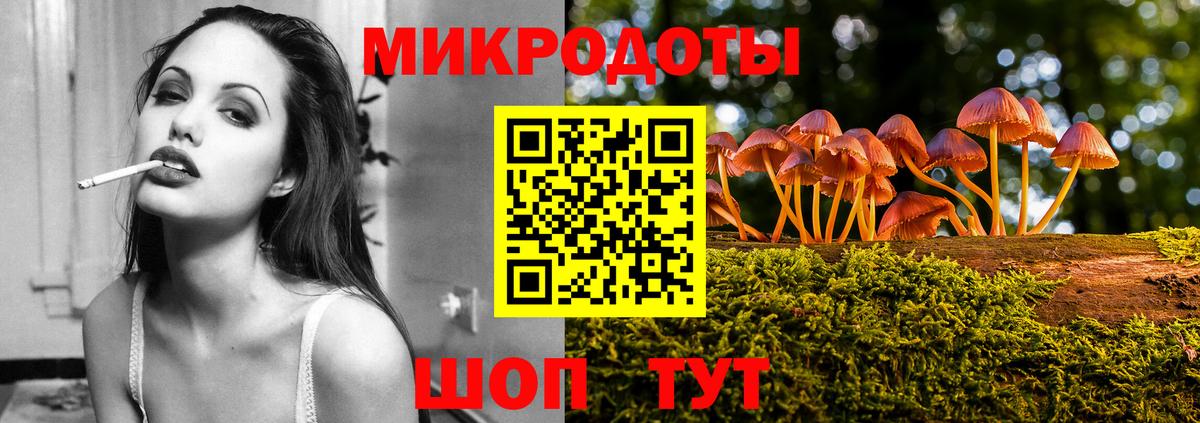 Псилоцибиновые грибы Psilocybine cubensis  Вход с VPN  Галлюциногенные грибы мухоморы  Чехов 